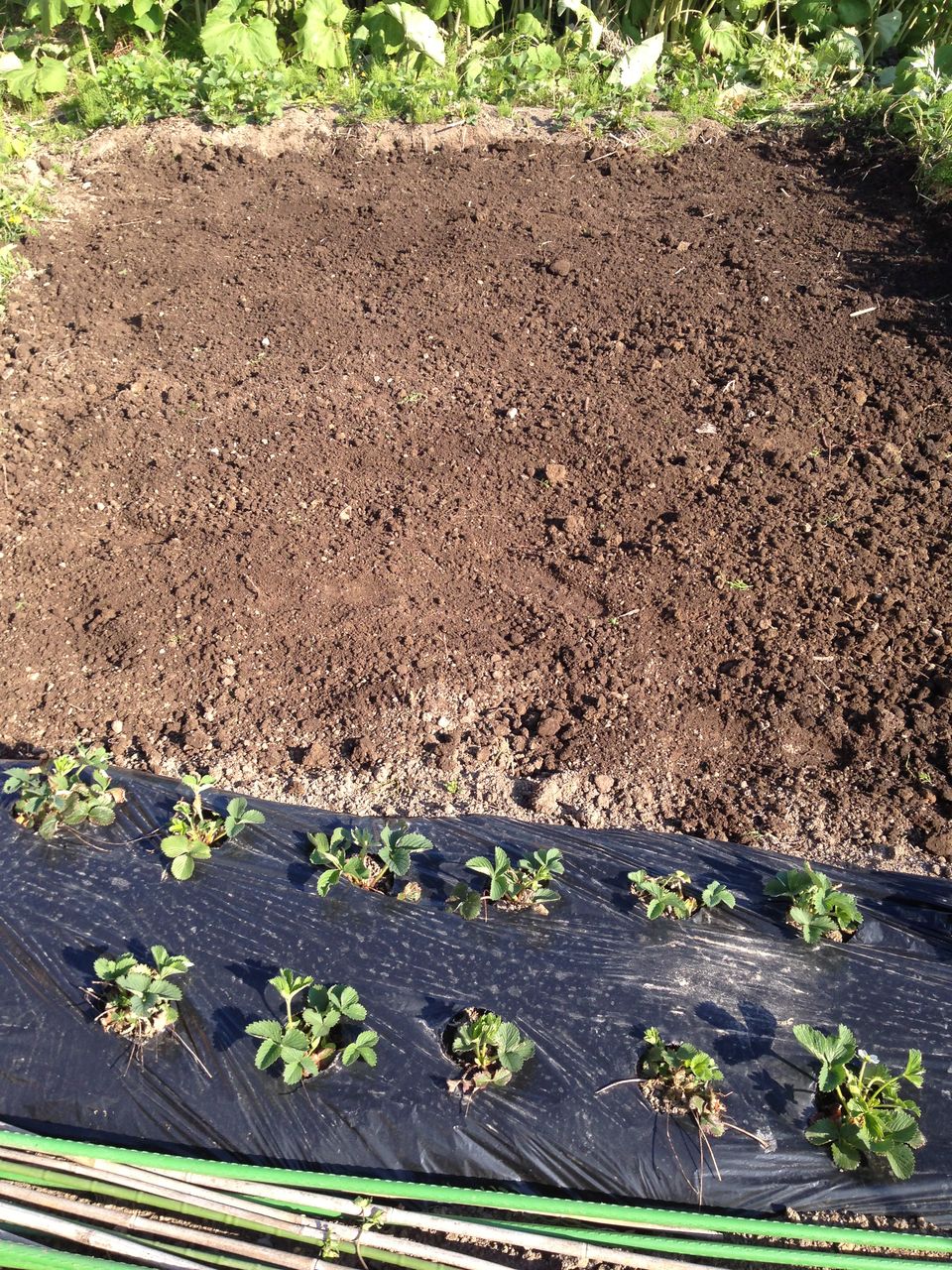 家庭菜園 北海道発 畑の準備をしました 道産子サラリーマンの北海道生活を楽しむ方法