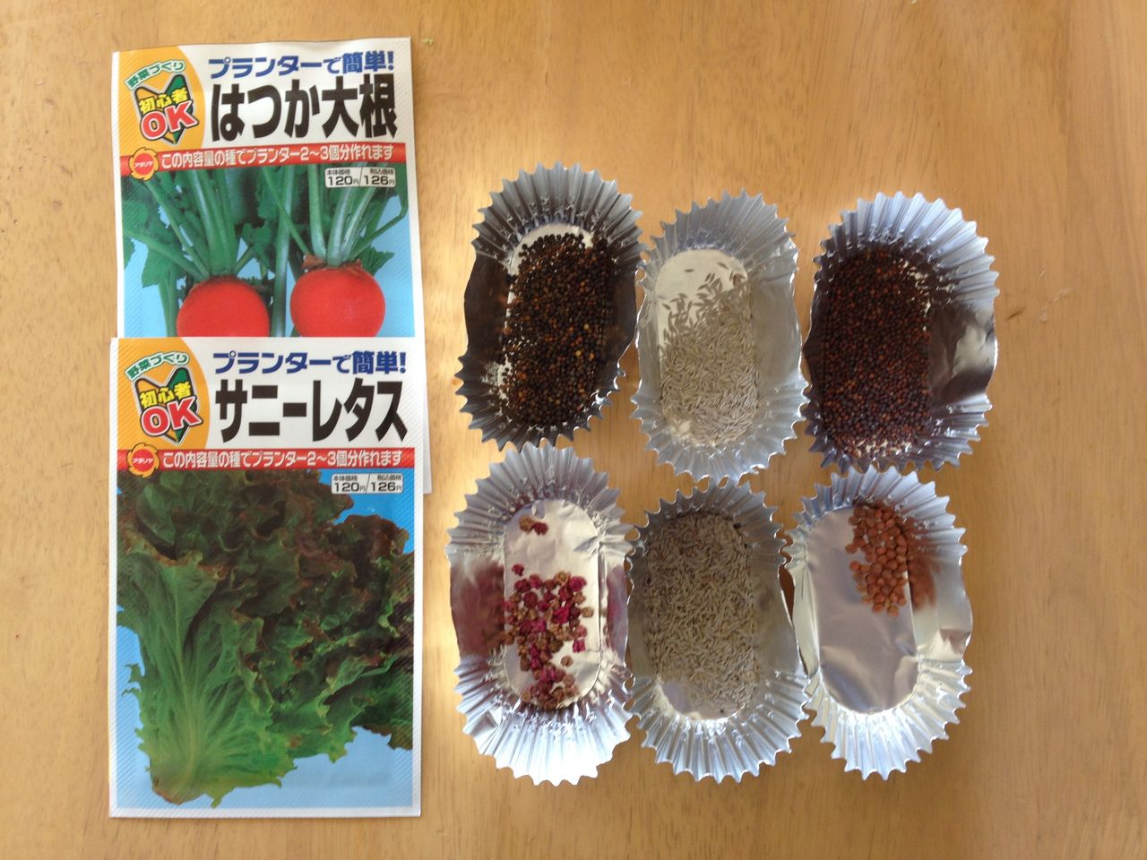 ガーデン 葉モノ野菜に 花壇に芝生 道産子サラリーマンの北海道生活を楽しむ方法 ガーデン 葉モノ野菜に 花壇に芝生 道産子サラリーマンの北海道生活を楽しむ方法