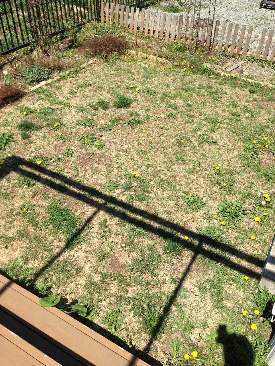北海道で芝生の庭を ２０１４シーズン 芝生の張替えを決行 道産子サラリーマンの北海道生活を楽しむ方法