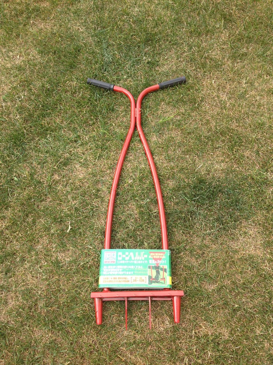 北海道で芝生の庭を 不調 そして芝生再生に向けて 道産子サラリーマンの北海道生活を楽しむ方法