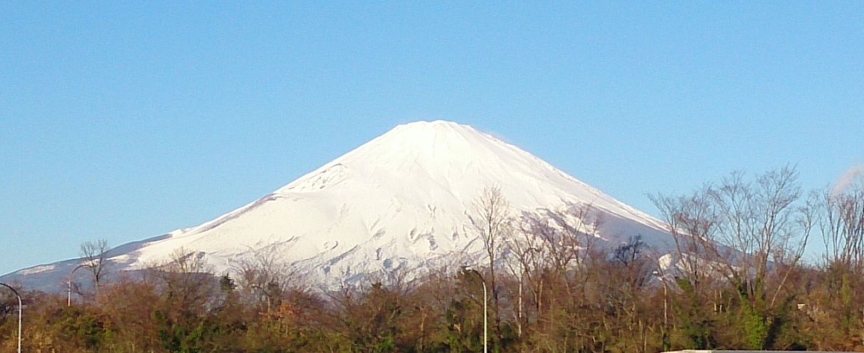 �ٻλ�