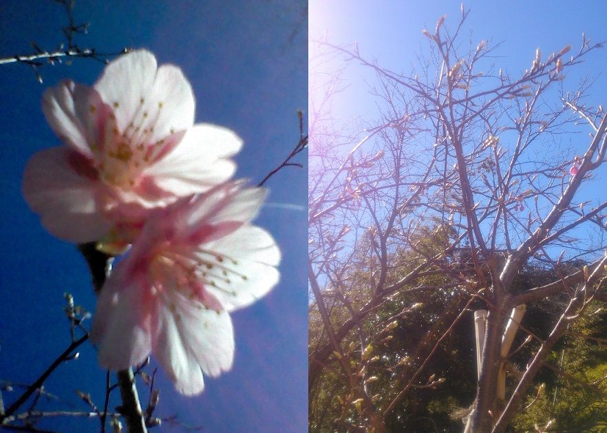 ���ź�_20170211