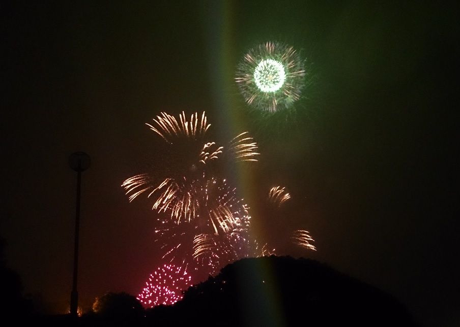 20150529��Ҳֲ�5