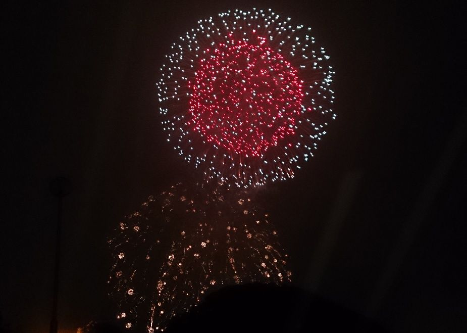 20150529��Ҳֲ�1