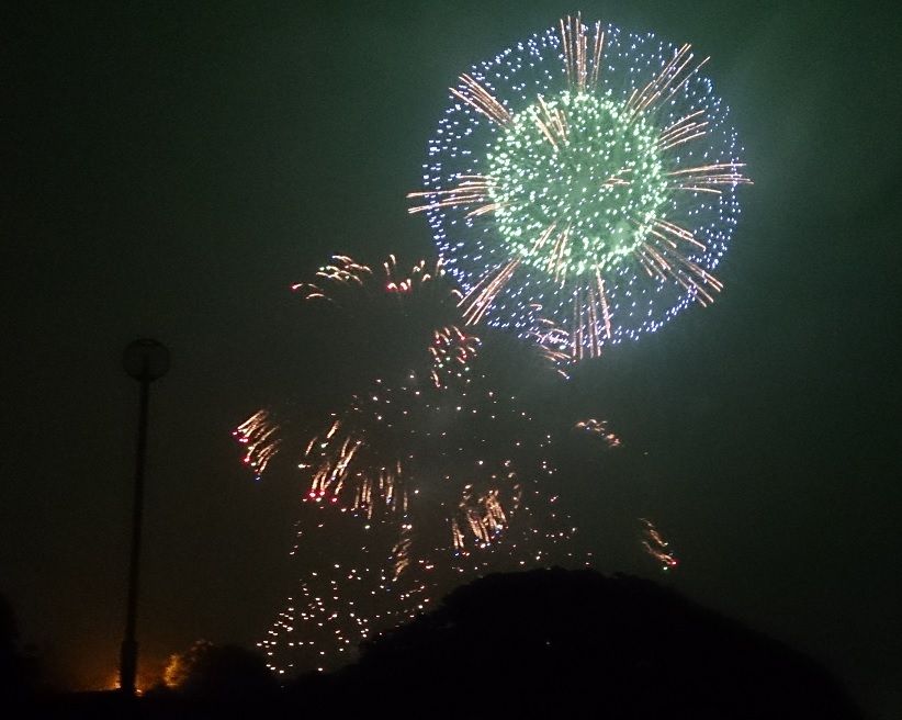 20150529��Ҳֲ�2