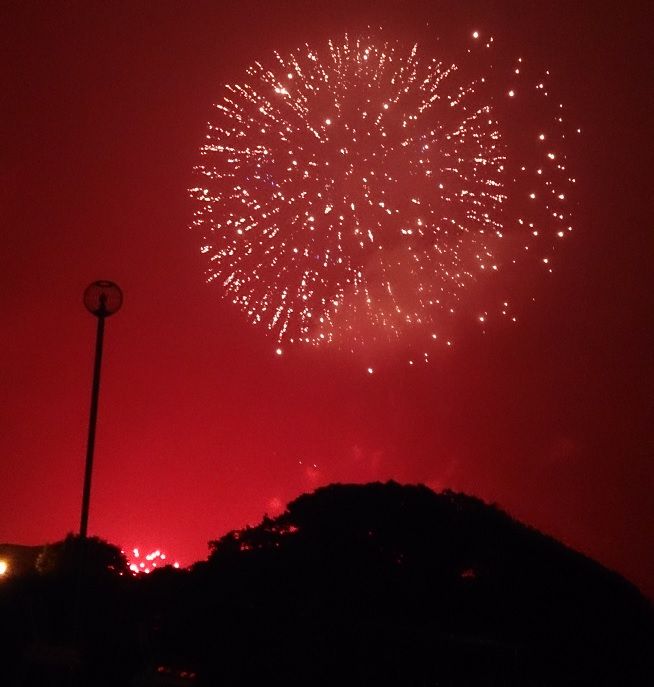 20150529��Ҳֲ�3