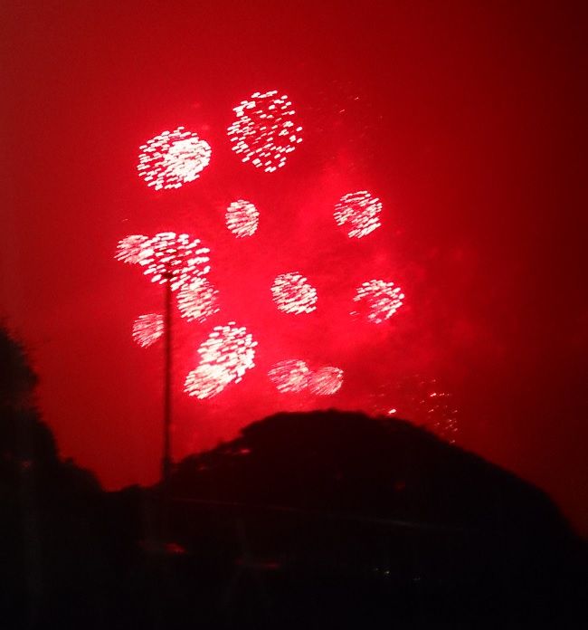 20150529��Ҳֲ�4