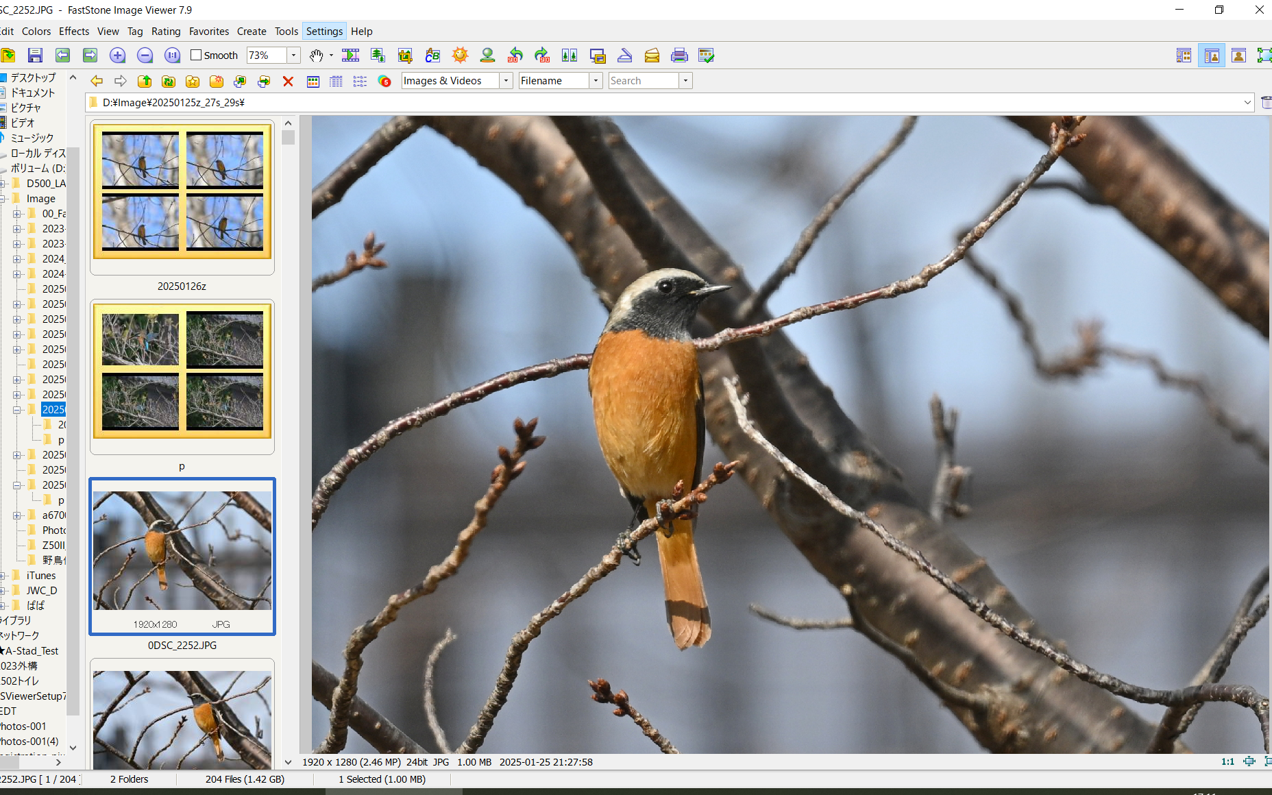 FastStone Image Viewerという画像ビューワーが7.9で日本語対応になっ