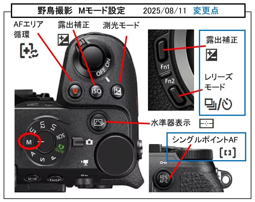 Z50II カワセミ撮影設定その後の変更点 : tamsan'sリストア2