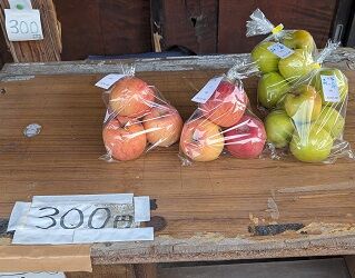 213_リンゴ無人販売