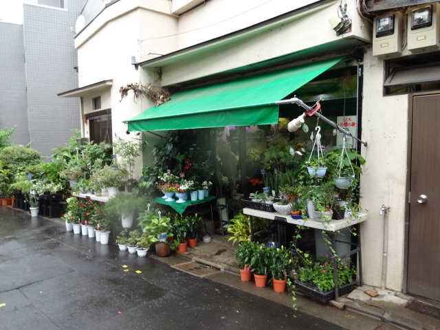 鶯谷町 代官山ガーデン フラワーショップ ガーデニング 渋谷 代官山タウン情報