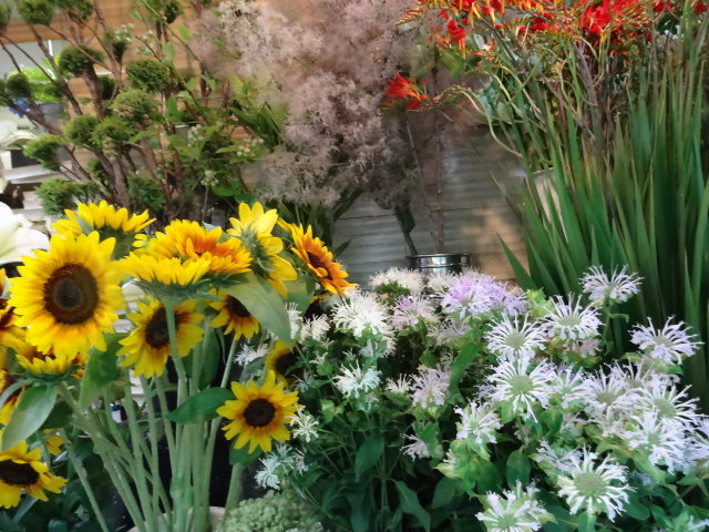 鶯谷町 代官山ガーデン フラワーショップ ガーデニング 渋谷 代官山タウン情報