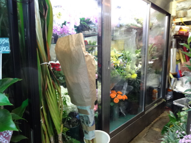 鶯谷町 代官山ガーデン フラワーショップ ガーデニング 渋谷 代官山タウン情報