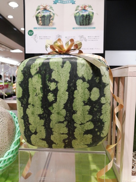 西瓜1