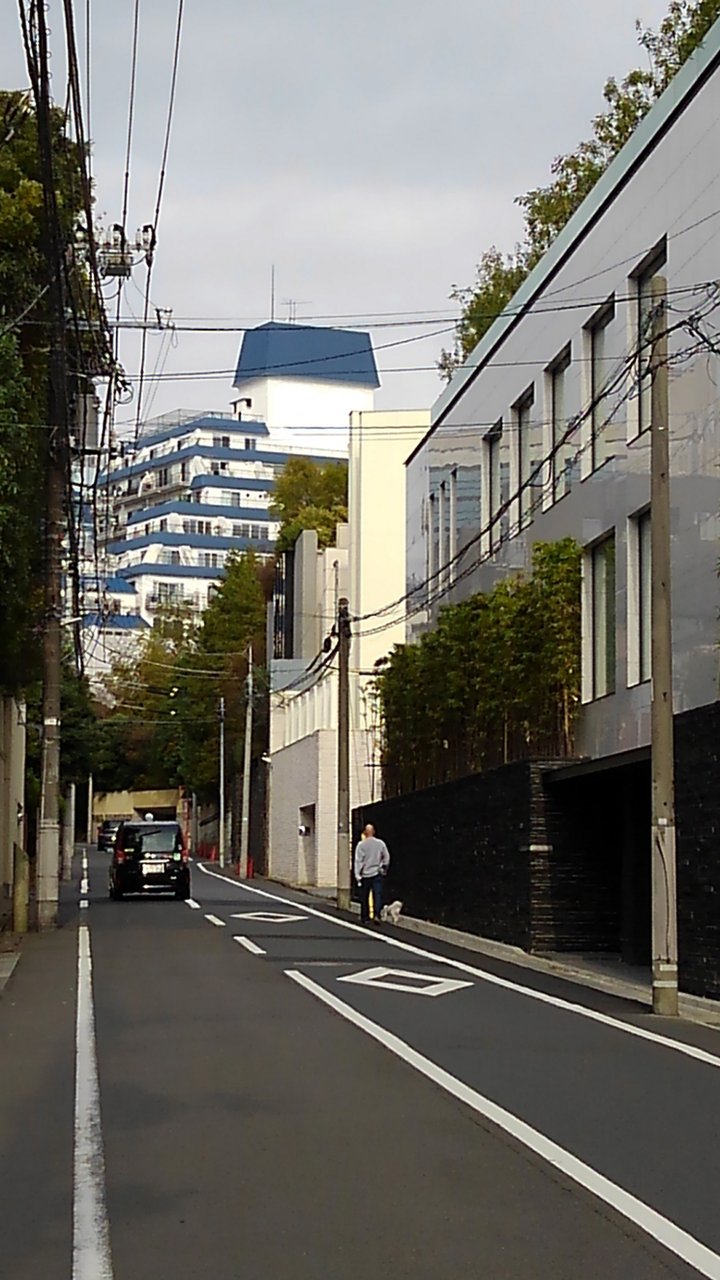 青い屋根 南平台 渋谷 代官山タウン情報 青い屋根 南平台 渋谷 代官山タウン情報