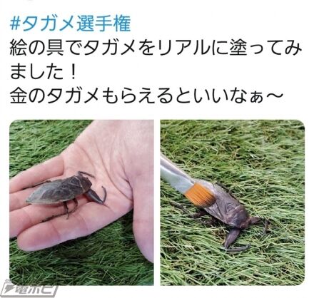 2月10日より売買禁止となった タガメ をctスキャンしたリアルなフィギュアが発売 強暴な鎌状の前脚から羽の凹凸まで本物と同じサイズで アニメまとめ情報サイト アニメまとめの注目情報