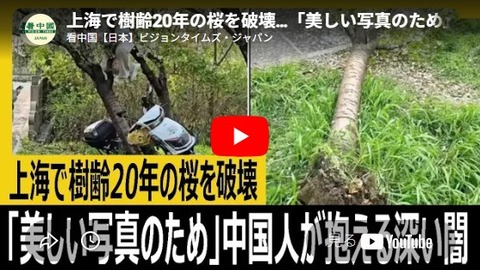 桜の木倒壊、SNS撮影が招いた波紋と公共意識の課題 : 社会生活まとめ