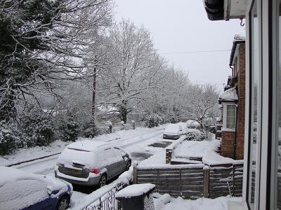 DSC03075