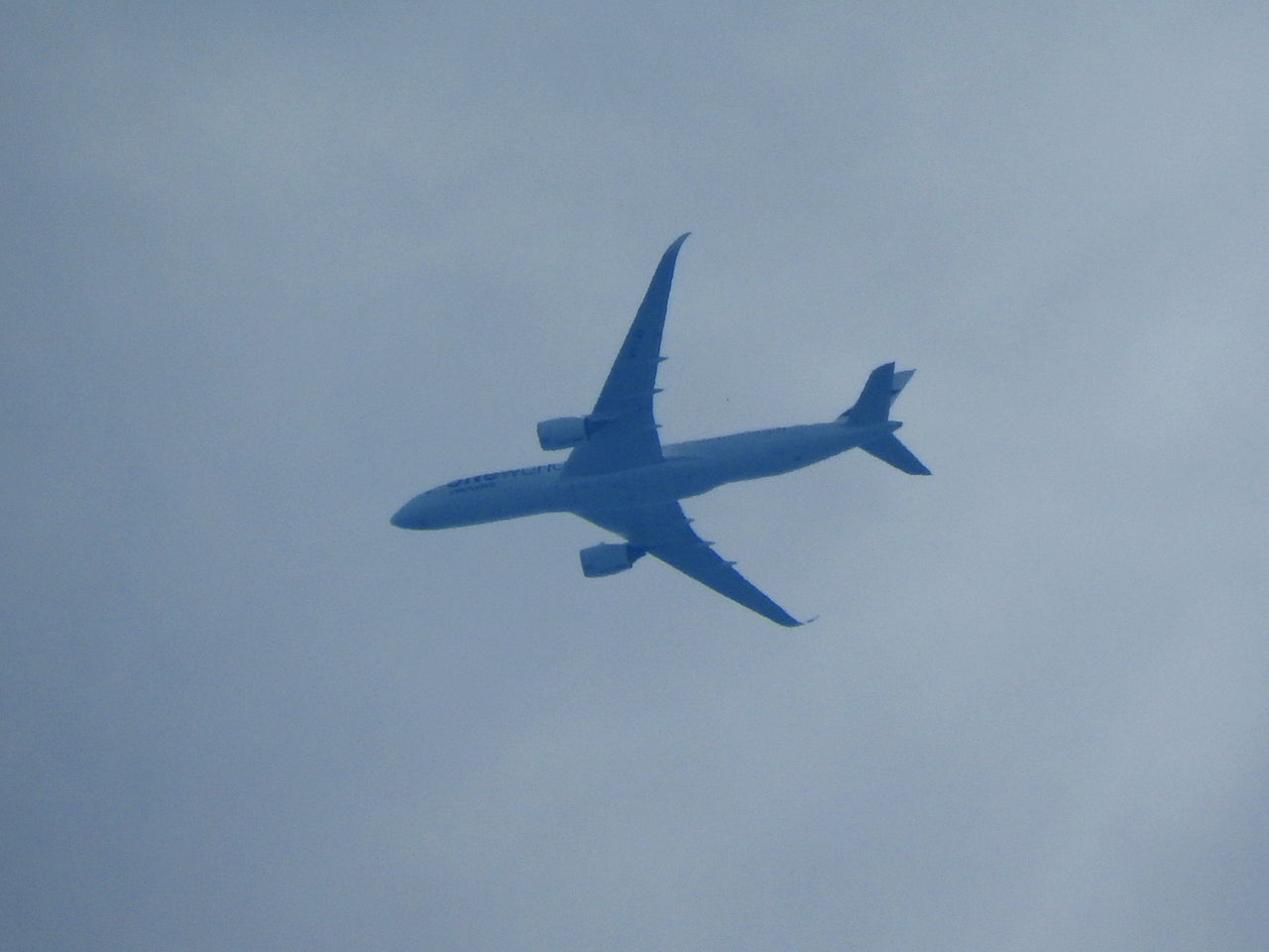 6月に撮った飛行機の写真 とおるxyz