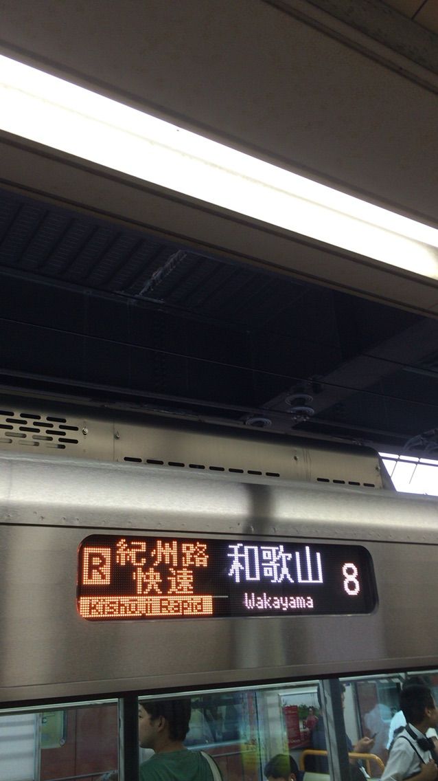 路 快速 駅 紀州 停車