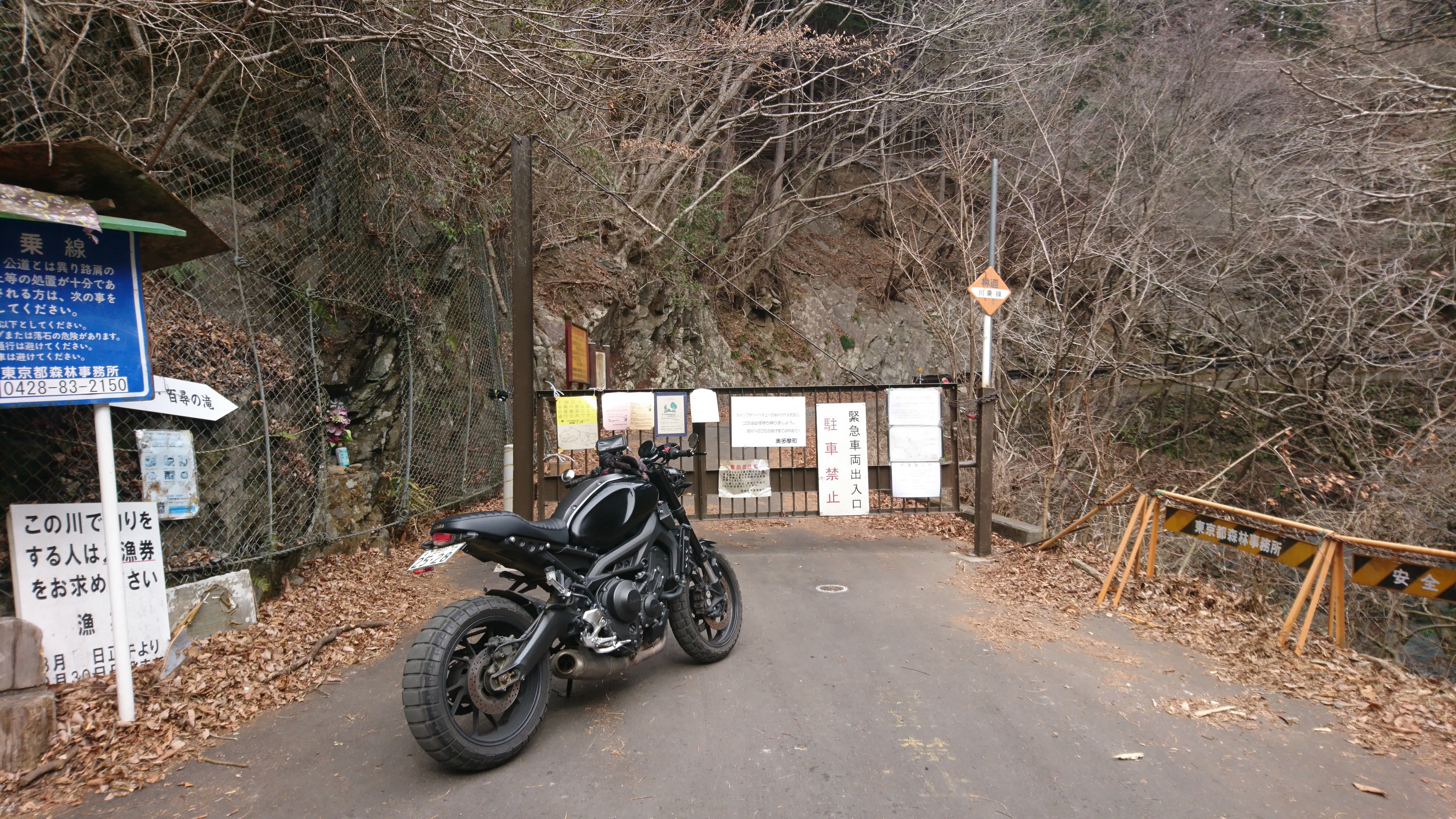 21年02月12日林道川乗線ツーリング Xsr900 Supercub50 Touring Report 21年02月12日林道川乗線ツーリング Xsr900 Supercub50 Touring Report