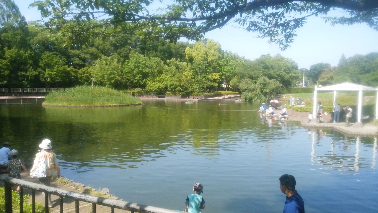 さぎ山記念公園 晴耕雨読その他いろいろ
