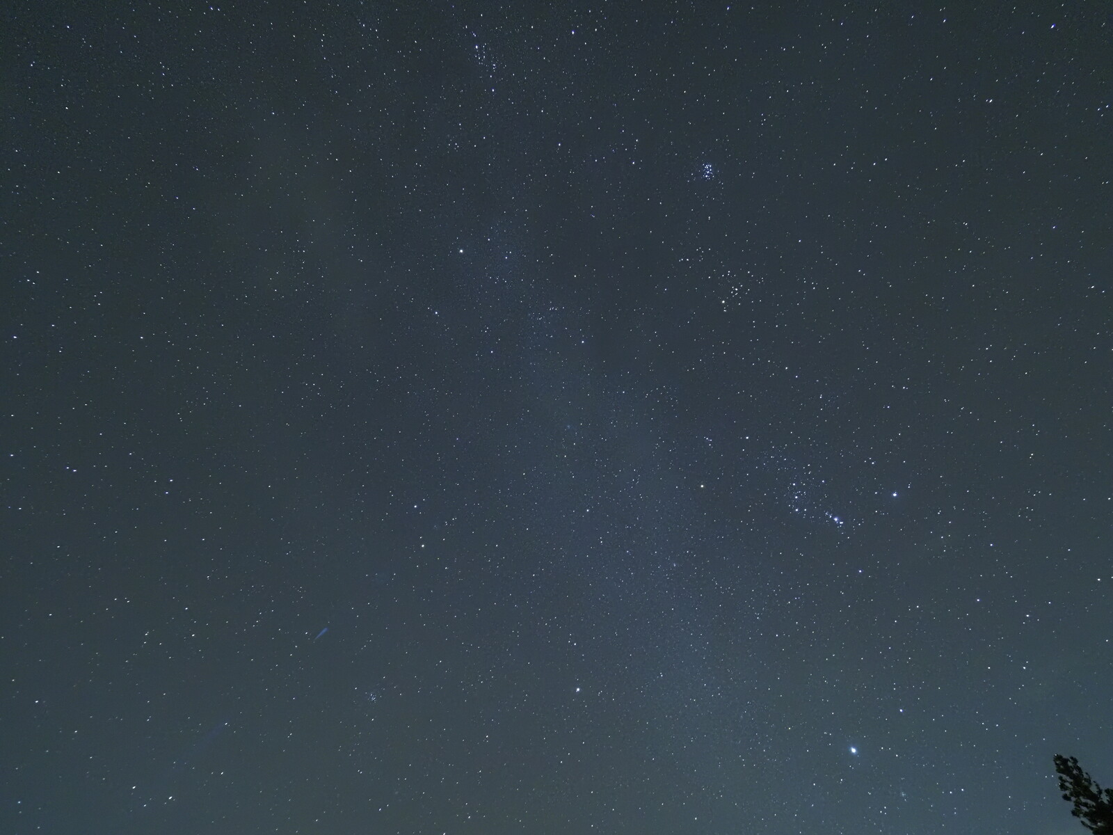 冬の星座 くぼかわ里山日記