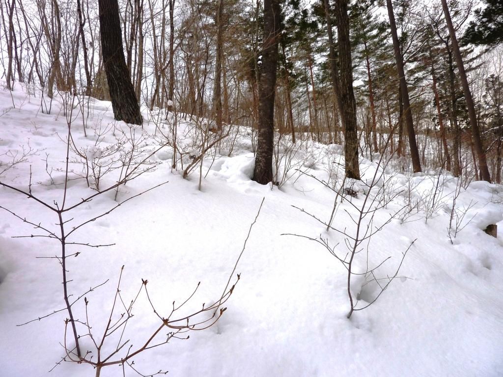現在の第一墓地 雪隠れ くぼかわ里山日記