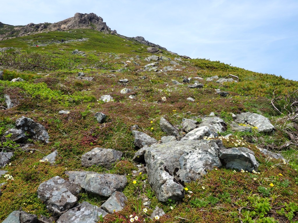 早池峰山登山 6月 くぼかわ里山日記