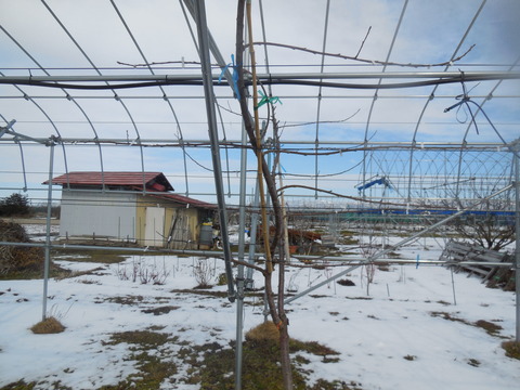 DSCN0577