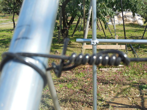DSCN0446