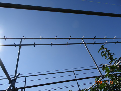 DSC01284