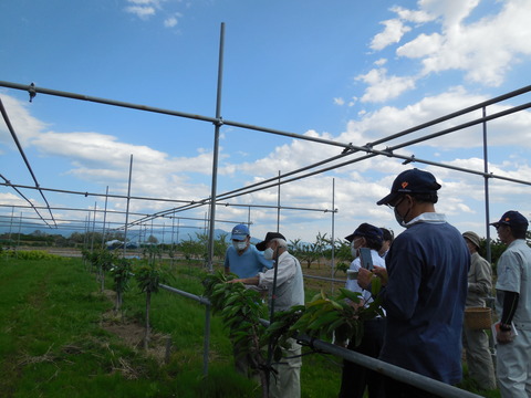 DSCN0708