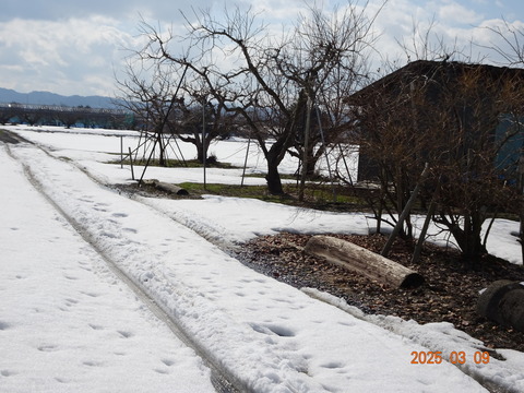 DSC01042