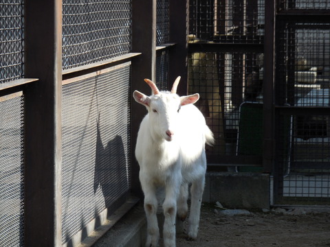 DSCN0529