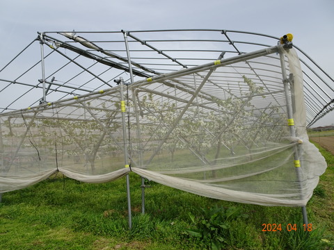 DSC00625
