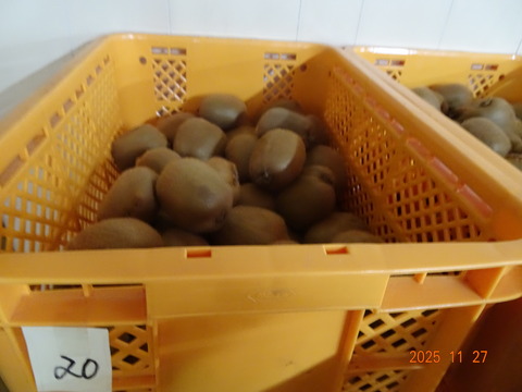 DSC01362
