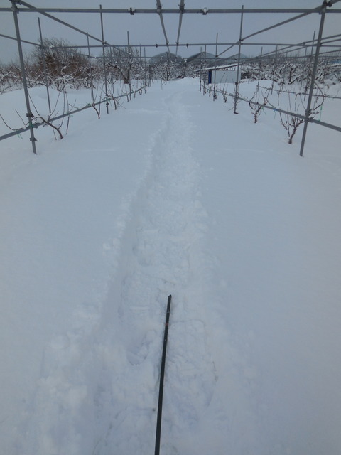 DSCN1030