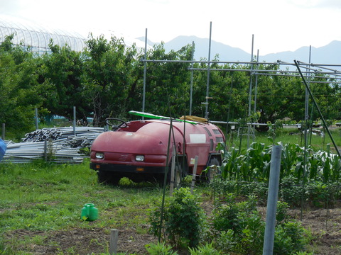 DSCN0753