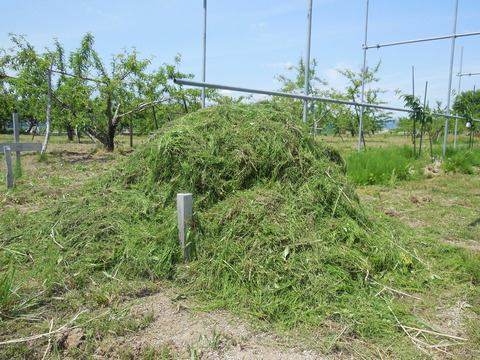 DSCN0720