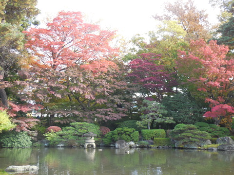 DSCN0511