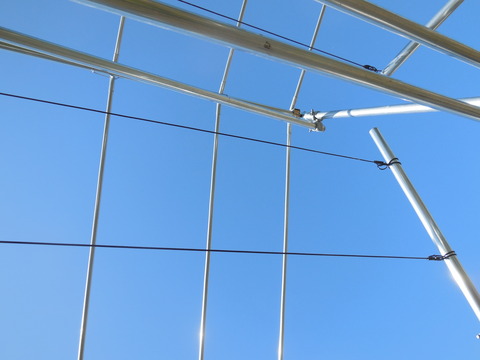 DSCN0443