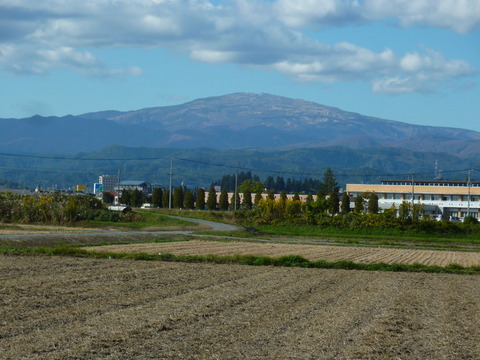 P1130184