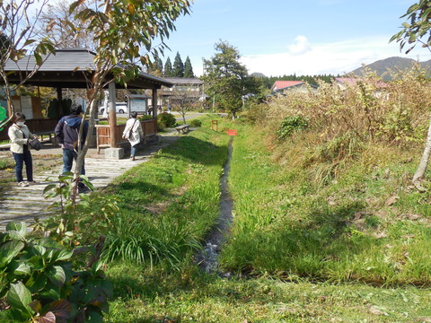 DSCN0869