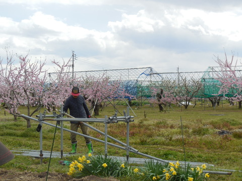 DSCN0663
