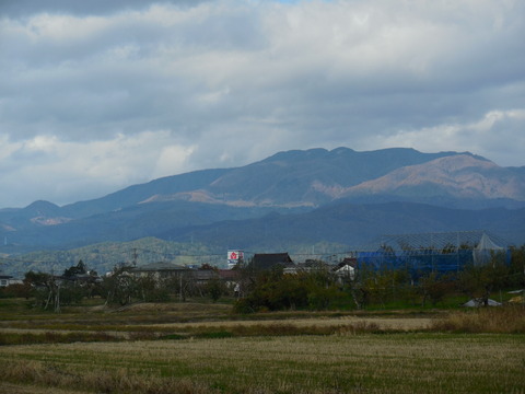 DSCN0495