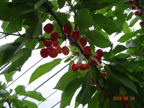 DSC00680