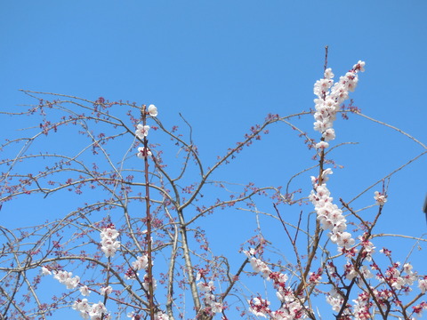 DSCN0607