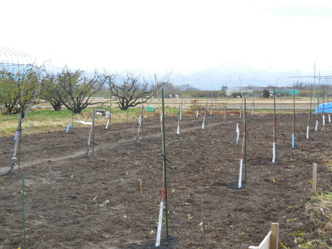 DSCN0555