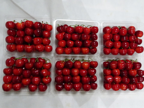 DSC00192